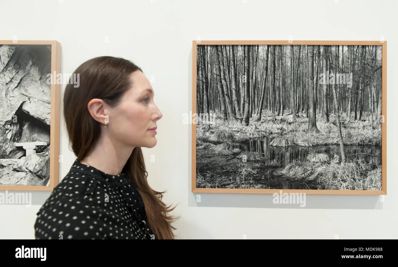 Somerset House, London, Großbritannien. 20. April 2018. Die Sony World Photography Awards ist die weltweit unterschiedlichsten Fotografie Wettbewerb. Von Mike Trow, ehemaliger Bild-Direktor, British Vogue, die in die engere Auswahl und lobte Fotografien speziell aus einem Datensatz ausgewählt wurden, kuratiert von 320.000 Beiträge für das Jahr 2018 Auszeichnungen und werden eine Vielzahl von Genres abdecken, von der Architektur zur Landschaft, Street Photography für die Tier- und Pflanzenwelt, Porträts zu reisen. Der britische Künstler Alys Tomlinson (dargestellt) namens "Fotograf des Jahres. Credit: Malcolm Park/Alamy Leben Nachrichten. Stockfoto