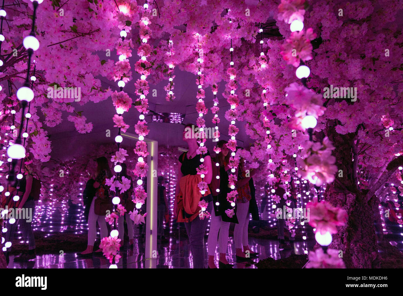 Sakura Kirschblüte Spiegel Zimmer Der Infinity Garden an der ense Platz" Installation in Exchange Square, Liverpool Street, London, UK Stockfoto
