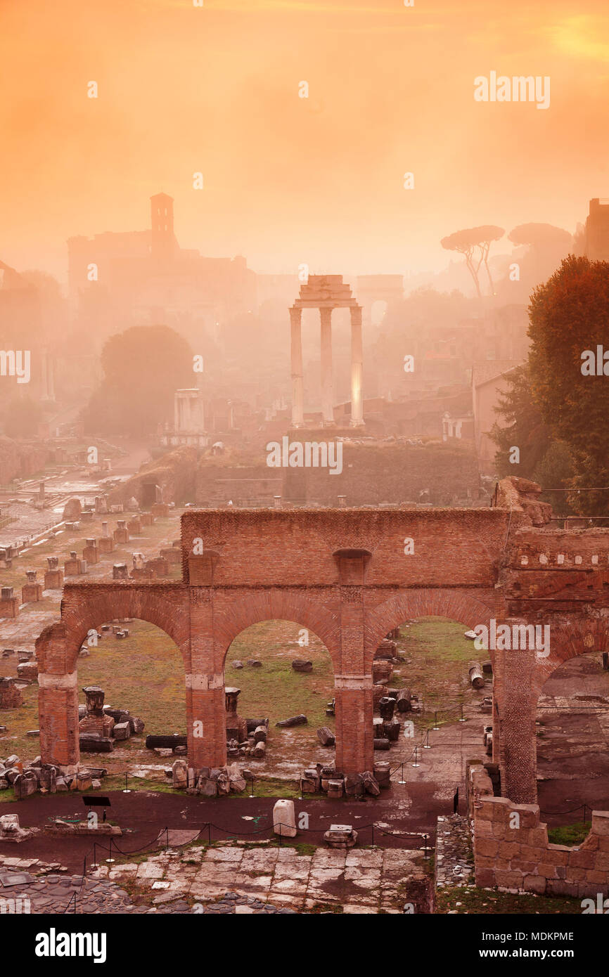 Forum Romanum im Morgennebel bei Sonnenaufgang, Foro Romano, Rom, Latium, Italien Stockfoto