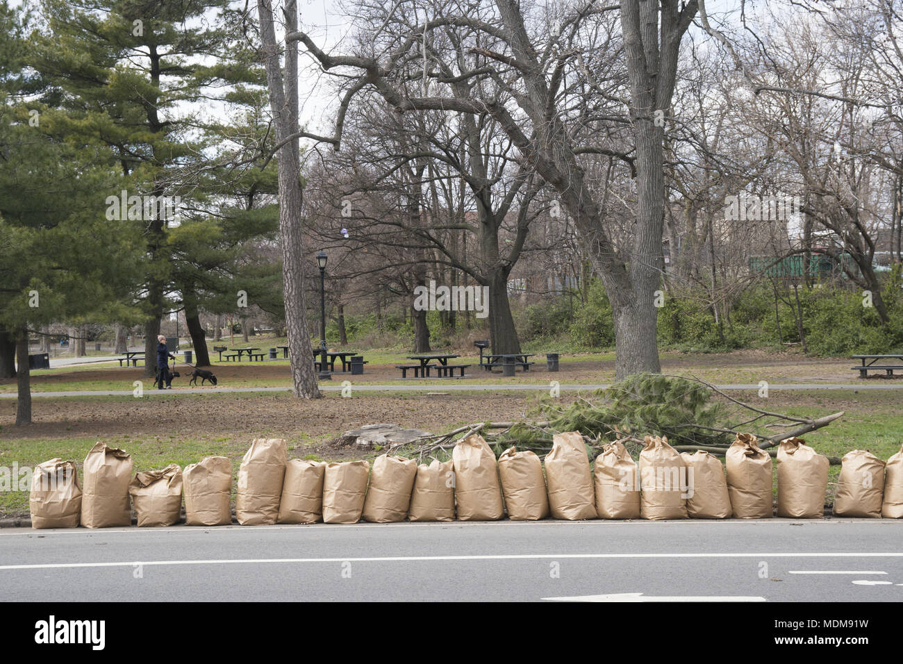 Taschen von Blättern, Zweigen und Papierkorb aufgereiht vom Frühjahr Reinigung von Freiwilligen in Prospect Park, Brooklyn, New York. Stockfoto
