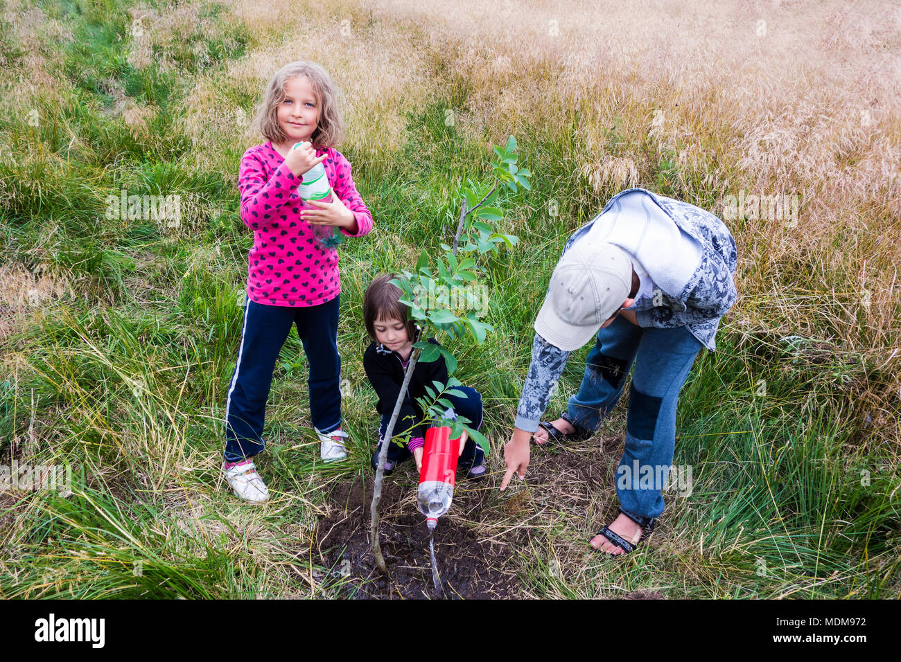 Drei Kinder Bewässerung neu gepflanzter Walnussbaum. Stockfoto