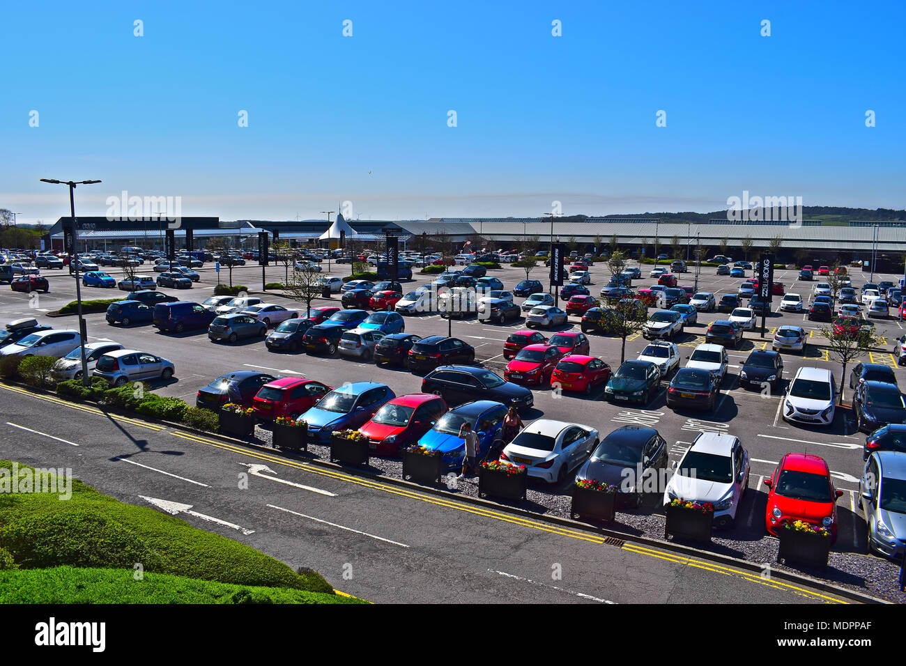 Blick über den Parkplatz im McArthurGlen Designer Outlet, Bridgend, Wales, lokal als "Kiefern" aufgrund der seit langem bestehenden Reihe von Pinien bekannt. Stockfoto