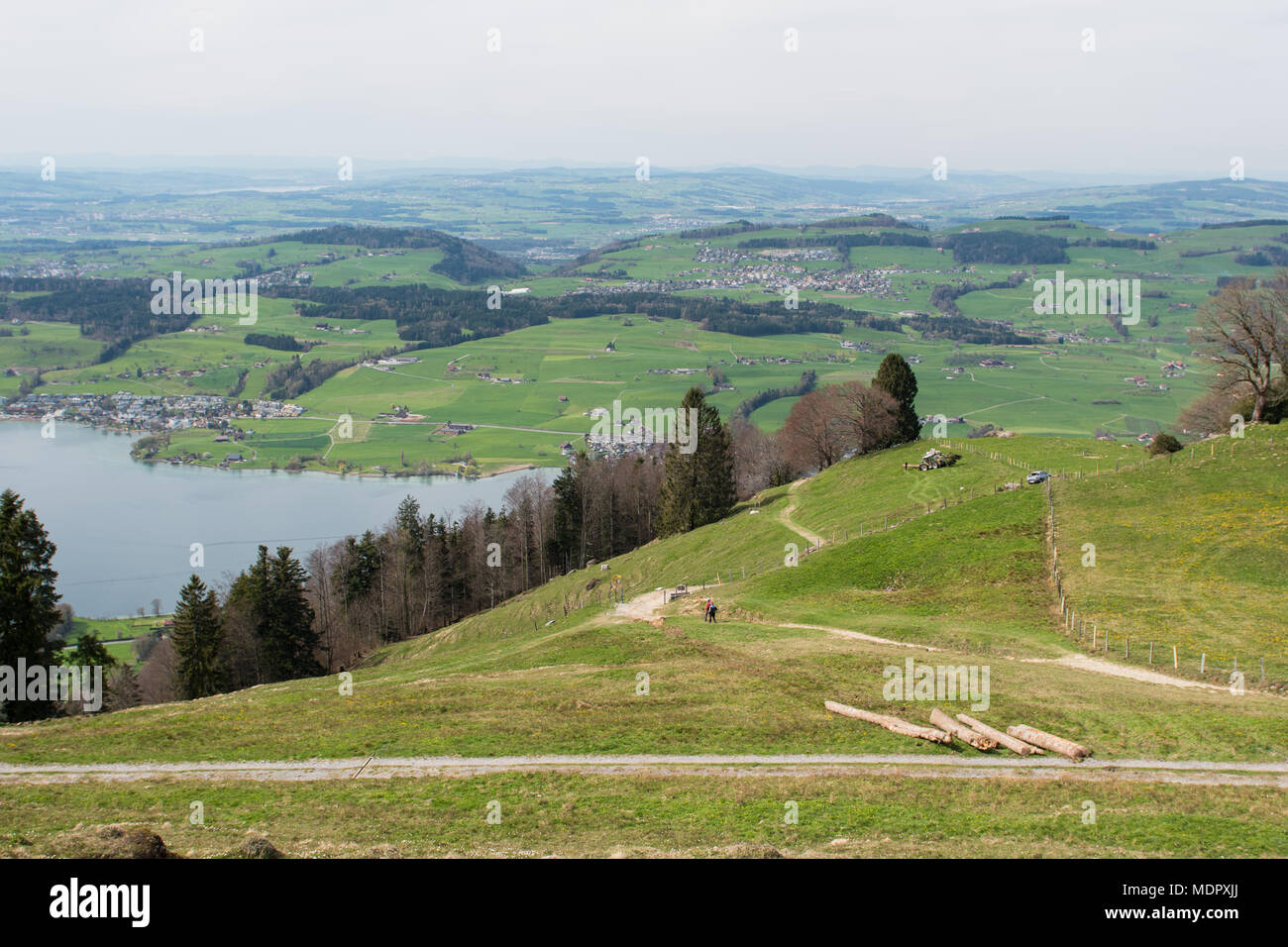 Landschaft Blick auf den Vierwaldstättersee vom Berg Rigi in der Schweiz. Wanderweg, Trail Stockfoto