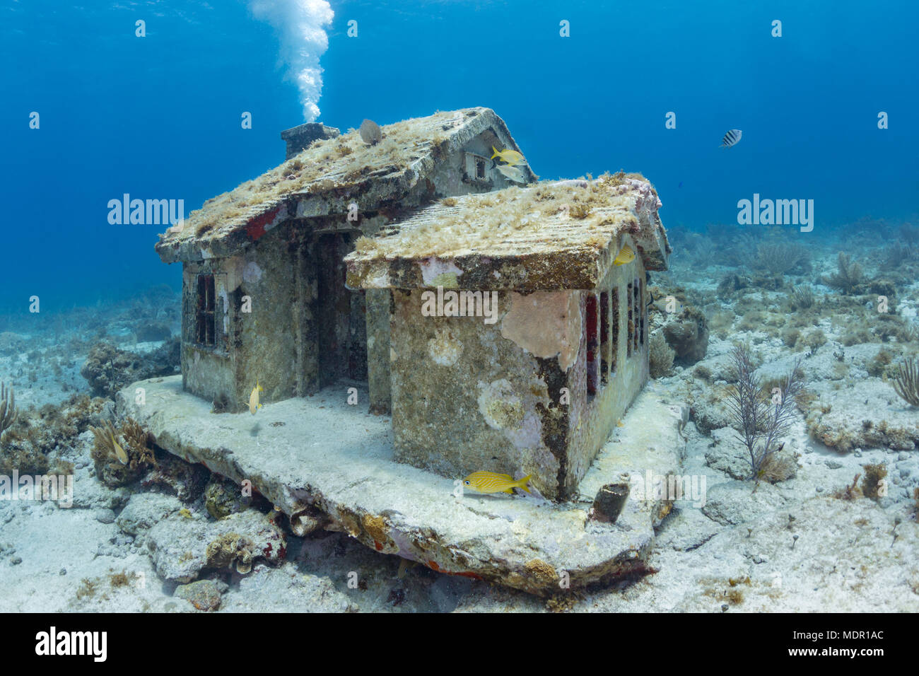 Unter Wasser Haus Bei Musa Isla Mujeres Mexico Stockfoto Bild