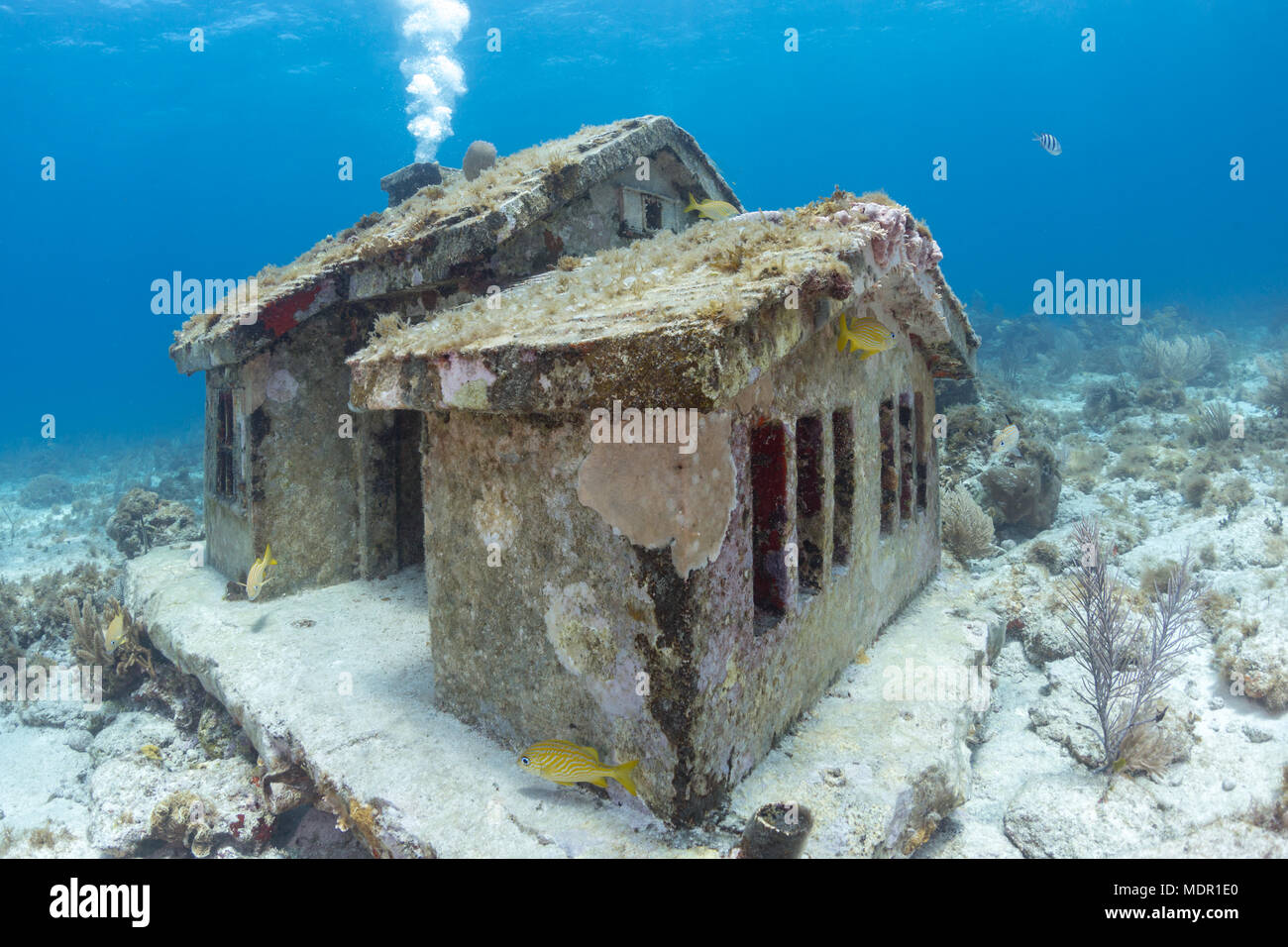 Unter Wasser Haus Bei Musa Isla Mujeres Mexico Stockfoto Bild