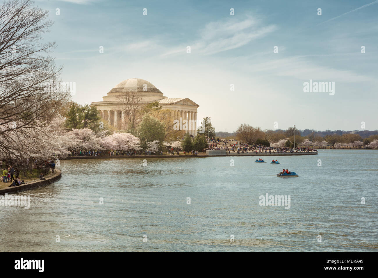 Die jährlichen blühen die Kirschbäume in Washington D.C. zieht große Menschenmengen. Stockfoto