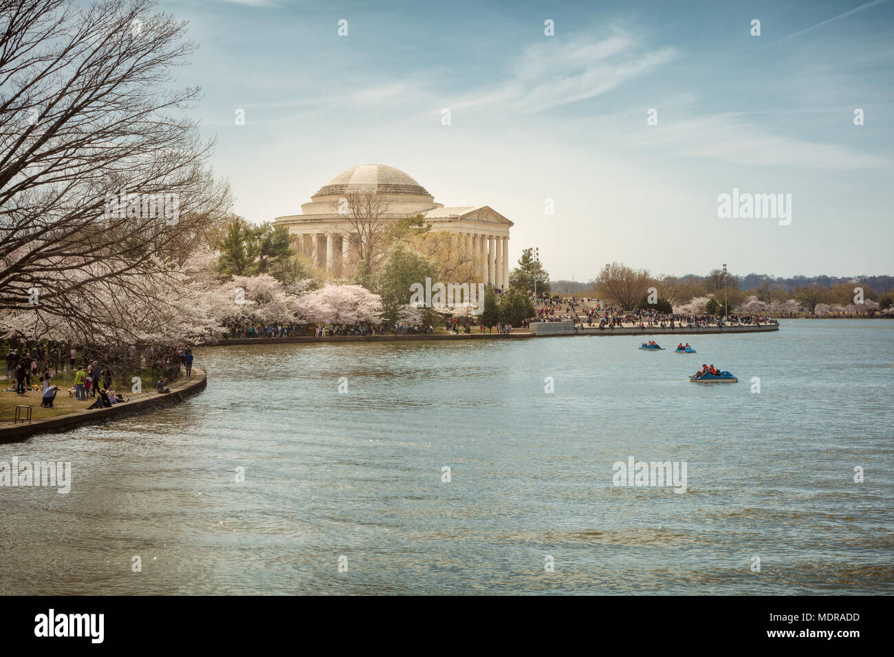 Die jährlichen blühen die Kirschbäume in Washington D.C. zieht große Menschenmengen. Stockfoto