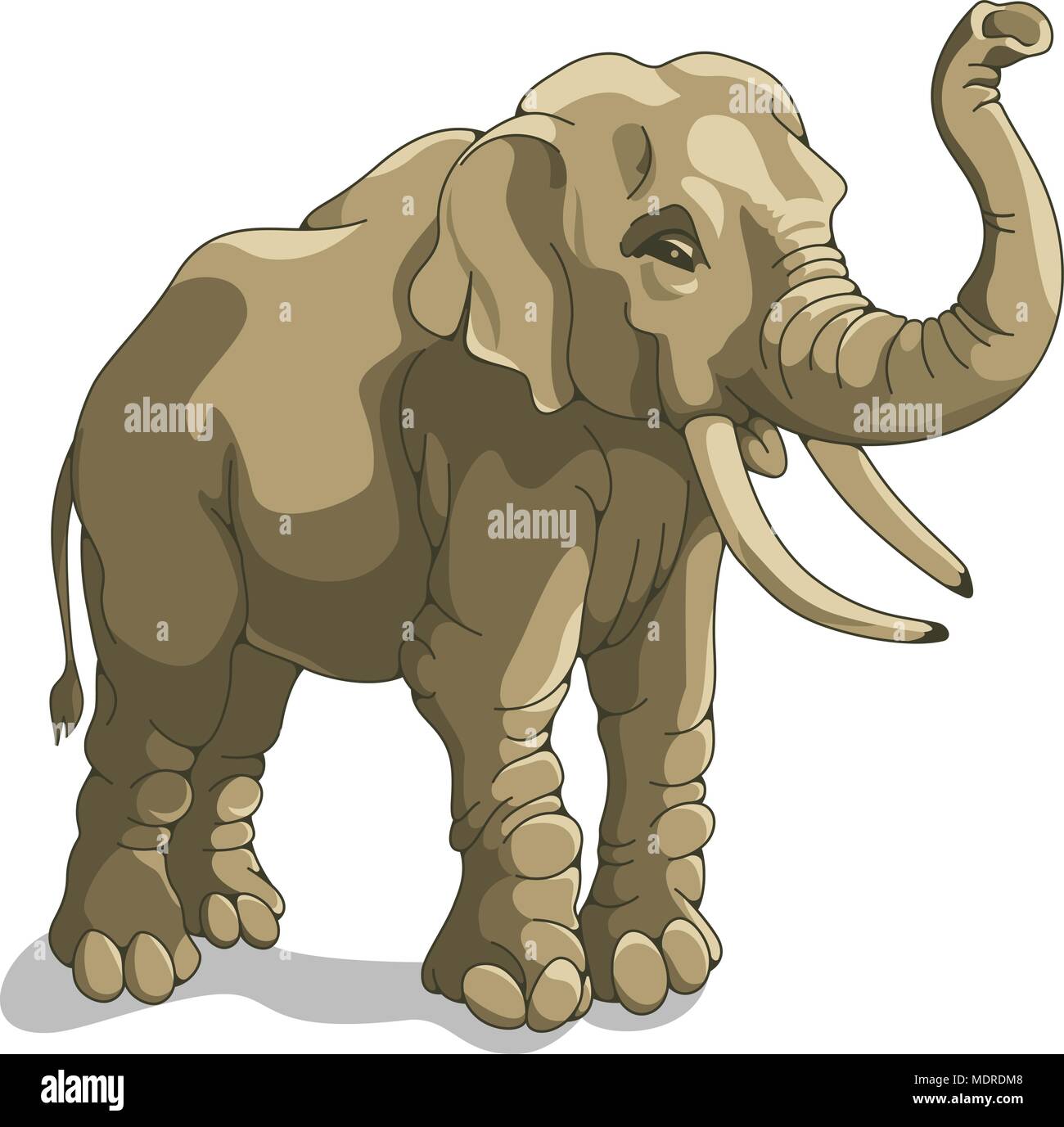 Vector Illustration von Elefant isoliert auf weißem Stock Vektor