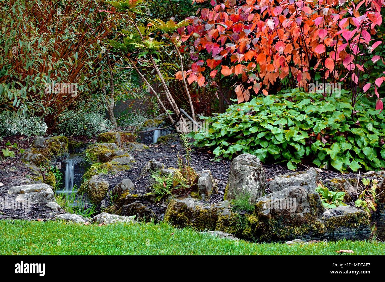 Miniatur Garten mit Bach und Pflanzen im Herbst Herbst Jahreszeit gebaut Stockfoto