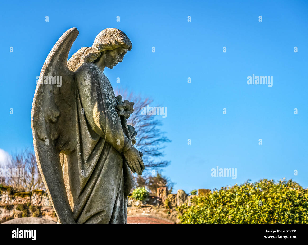 Profil von verwitterten Stein Engel Statue auf dem Grab im Friedhof, die St Mary's Parish Church, Haddington, East Lothian, Schottland, Großbritannien Stockfoto