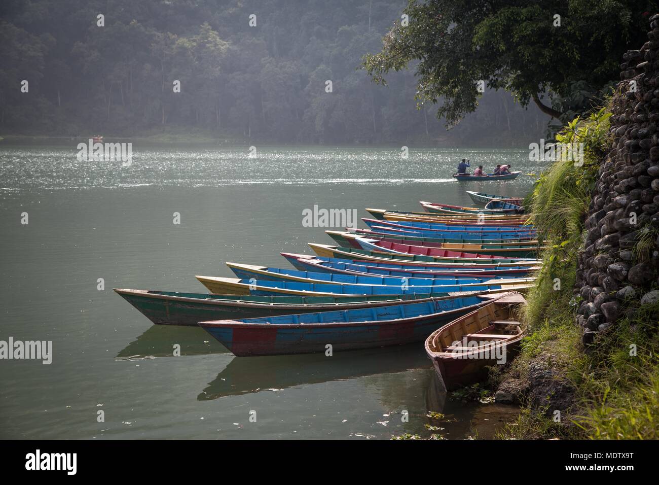 Eine Gruppe von farbigen rudern Boote am Ufer des Phewa See in Pokhara, Nepal Stockfoto