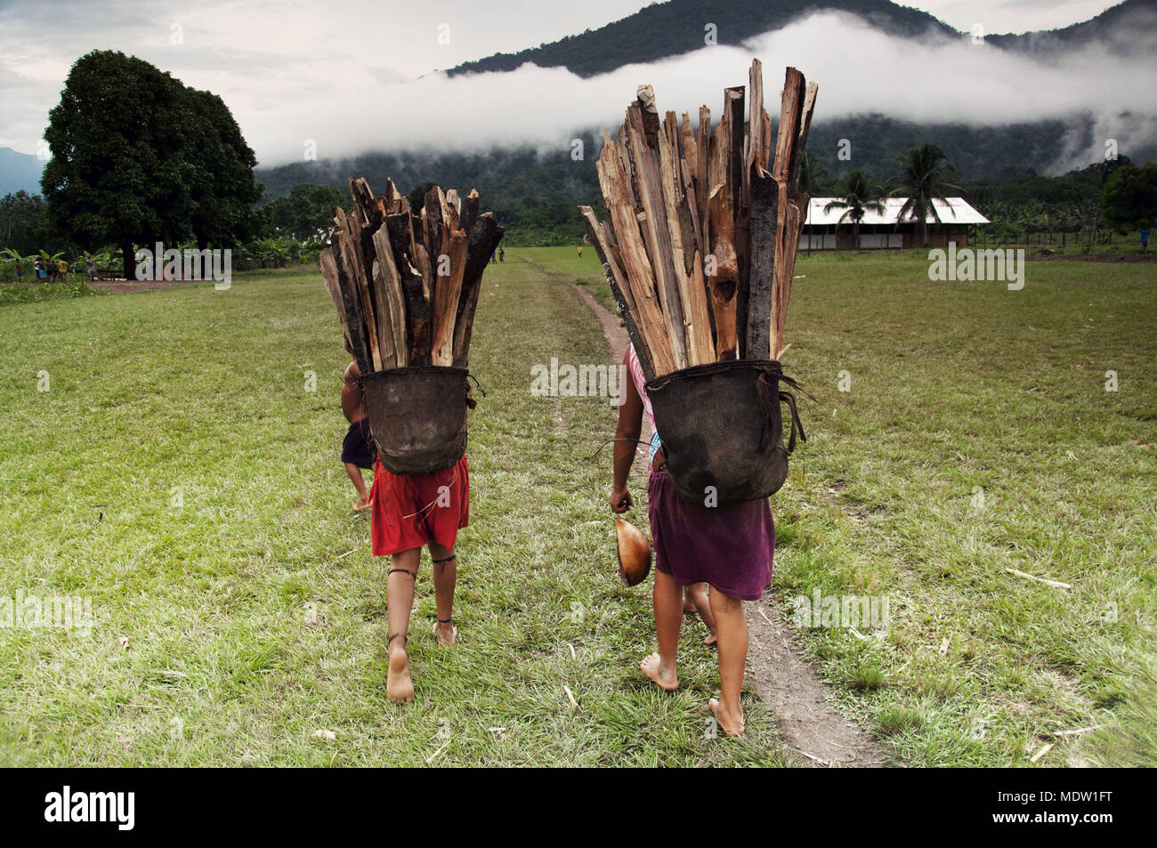 Yanomami indische Frauen des Dorfes Marari Durchführung Brennholz auf dem Kopf - Sierra Aramamisi Zufällige Stockfoto Yanomami indische Frauen des Dorfes Marari Durchführung Brennholz auf dem Kopf - Sierra Aramamisi Zufällige Stockfoto