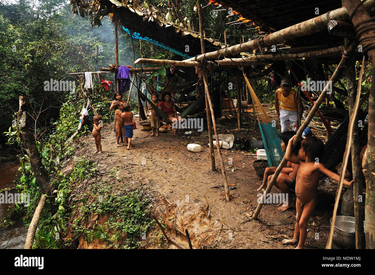 Camp Yanomami Indianer im Wald um Früchte und Raupen sammeln - Rio Auaris Stockfoto