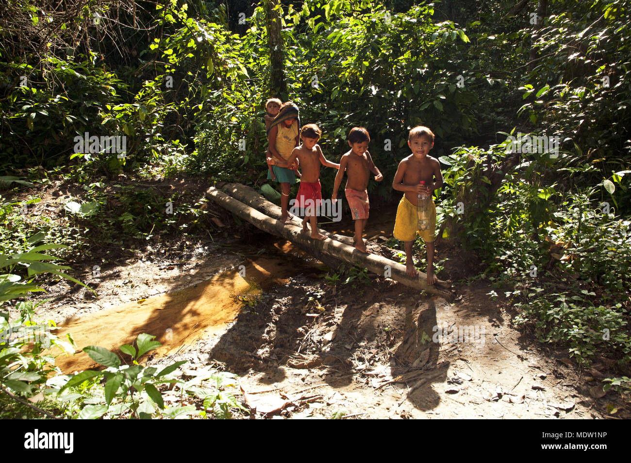 Yanomami Kinder auf dem Weg durch den Wald im Dorf - High River Mucajai Stockfoto