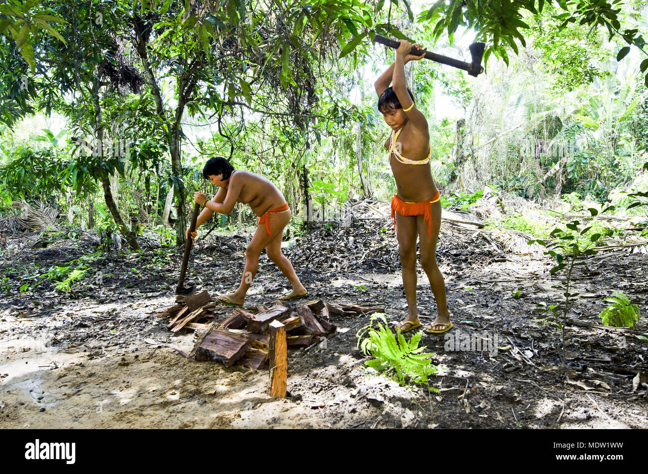 Yanomami Stockfotos & Yanomami Bilder - Alamy