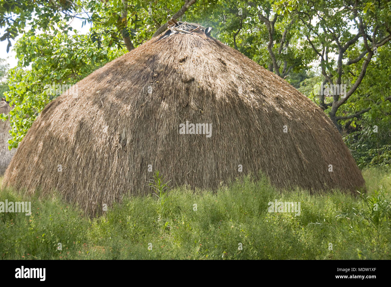 Hohl Dorf Aiha - Ethnizität - Kalapalo Indigena Parque do Xingu - MT. Stockfoto