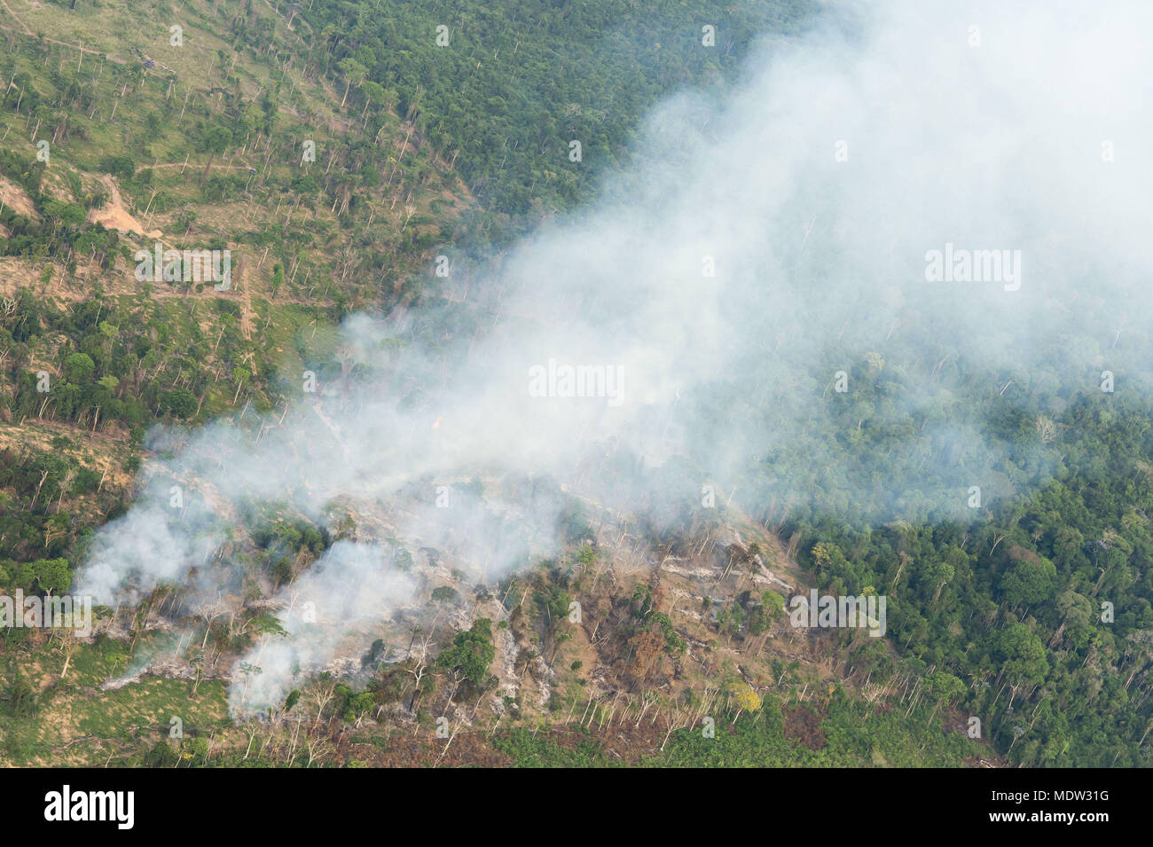 Luftaufnahme von Entwaldeten Fläche und brennen Amazon Wald für Weide Vorbereitung Stockfoto