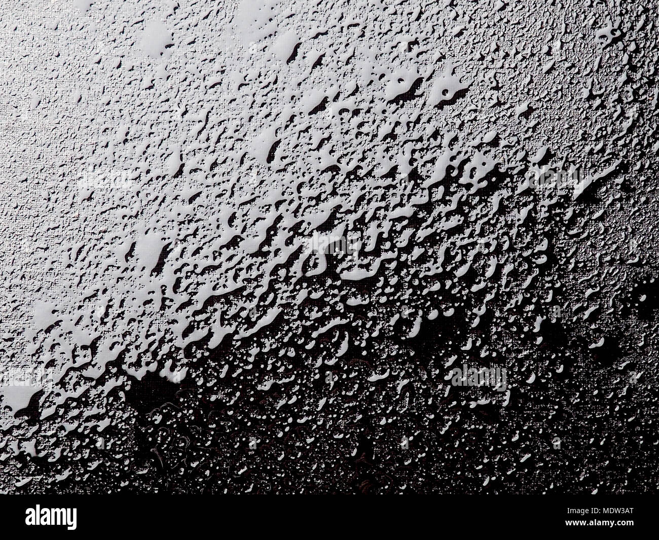 Tropfen wasser-abweisende Oberfläche in Schwarz & Weiß. Stockfoto