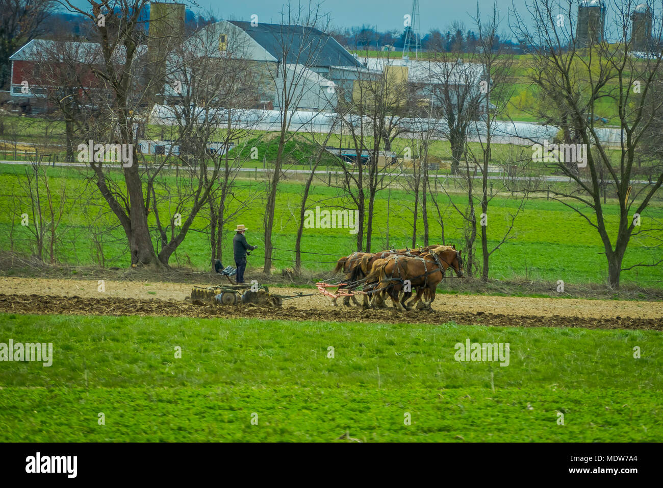 Im freien Blick auf unbekannter Mann amish Landwirt mit vielen Pferden Kraftheber antike im Bereich Pflug Stockfoto