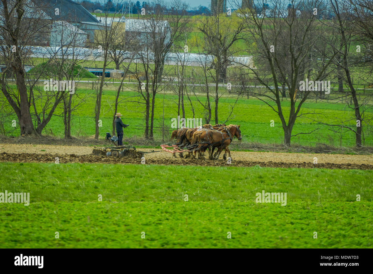 Im freien Blick auf unbekannter Mann amish Landwirt mit vielen Pferden Kraftheber antike im Bereich Pflug Stockfoto