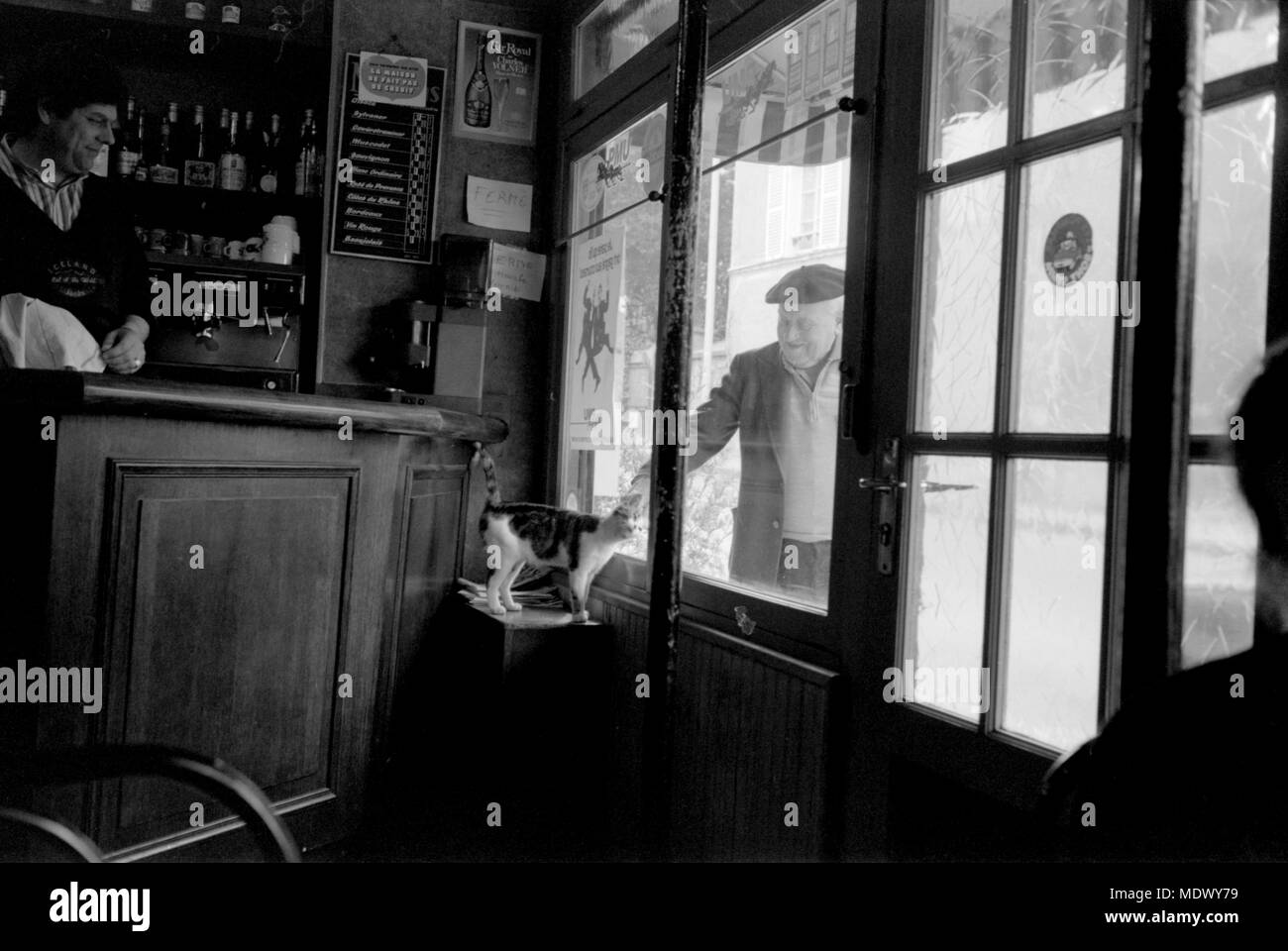AJAXNETPHOTO. LOUVECIENNES, Frankreich. - CAFE CAT-MAN ANSCHLÄGE KATZE DURCH FENSTER GLAS CAFE IM DORF. Foto: Jonathan Eastland/AJAX REF: 9004 18 1 Stockfoto