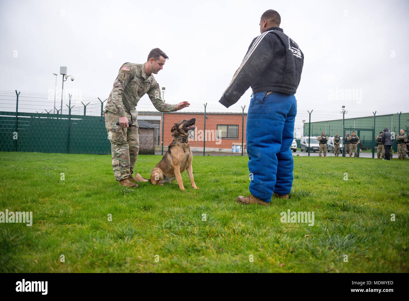 U.S. Army Staff Sgt. Joseph Snodgrass, noncommissioned Officer für die 100 militärische Gebrauchshund Loslösung, gibt Anweisungen zur U.S. Army Military Working Dog Arabella, ein neun-jährige Malinois als US-Soldaten in die Provost Marshall Büro in der US-Armee Garnison Benelux zugewiesenen Aufgaben militärische Gebrauchshund (MWD) Einarbeitung training, auf chièvres Air Base, Belgien, 7. Dezember, 2017. Die Soldaten gelernt, wie man mit MWDs und ihre Hundeführer zu arbeiten die Strafverfolgungsbehörden Zertifizierung zu erhalten. (U.S. Armee Foto von visuellen Informationen Spezialist Pierre-Etienne Courtejoie) Stockfoto