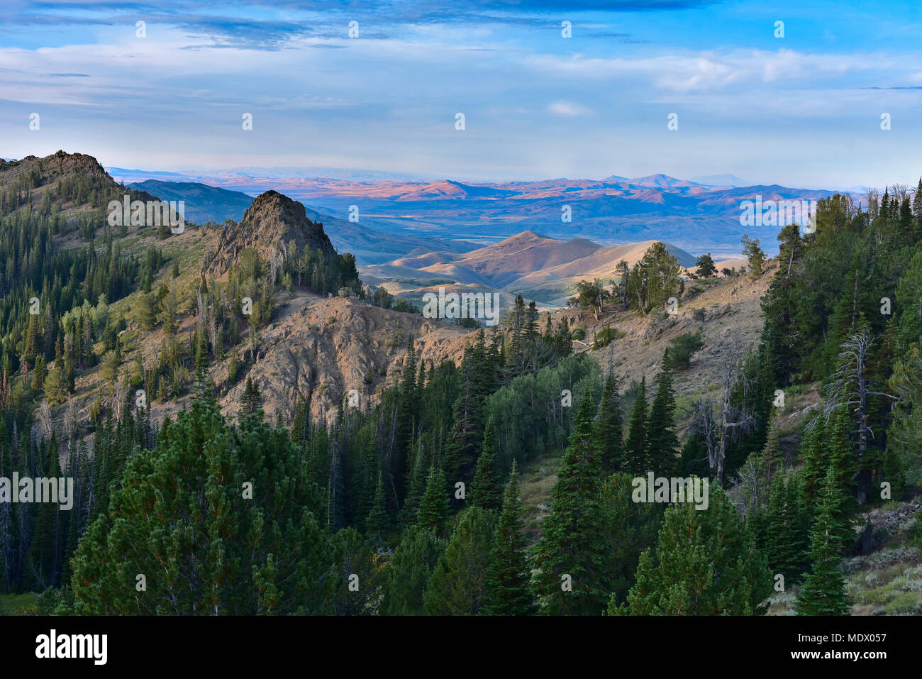 Jarbidge Wilderness, Northern Nevada Stockfoto