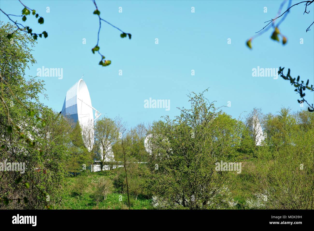 Kommunikation Gerichte hinter Bäumen in der Landschaft vor blauem Himmel Hintergrund Stockfoto