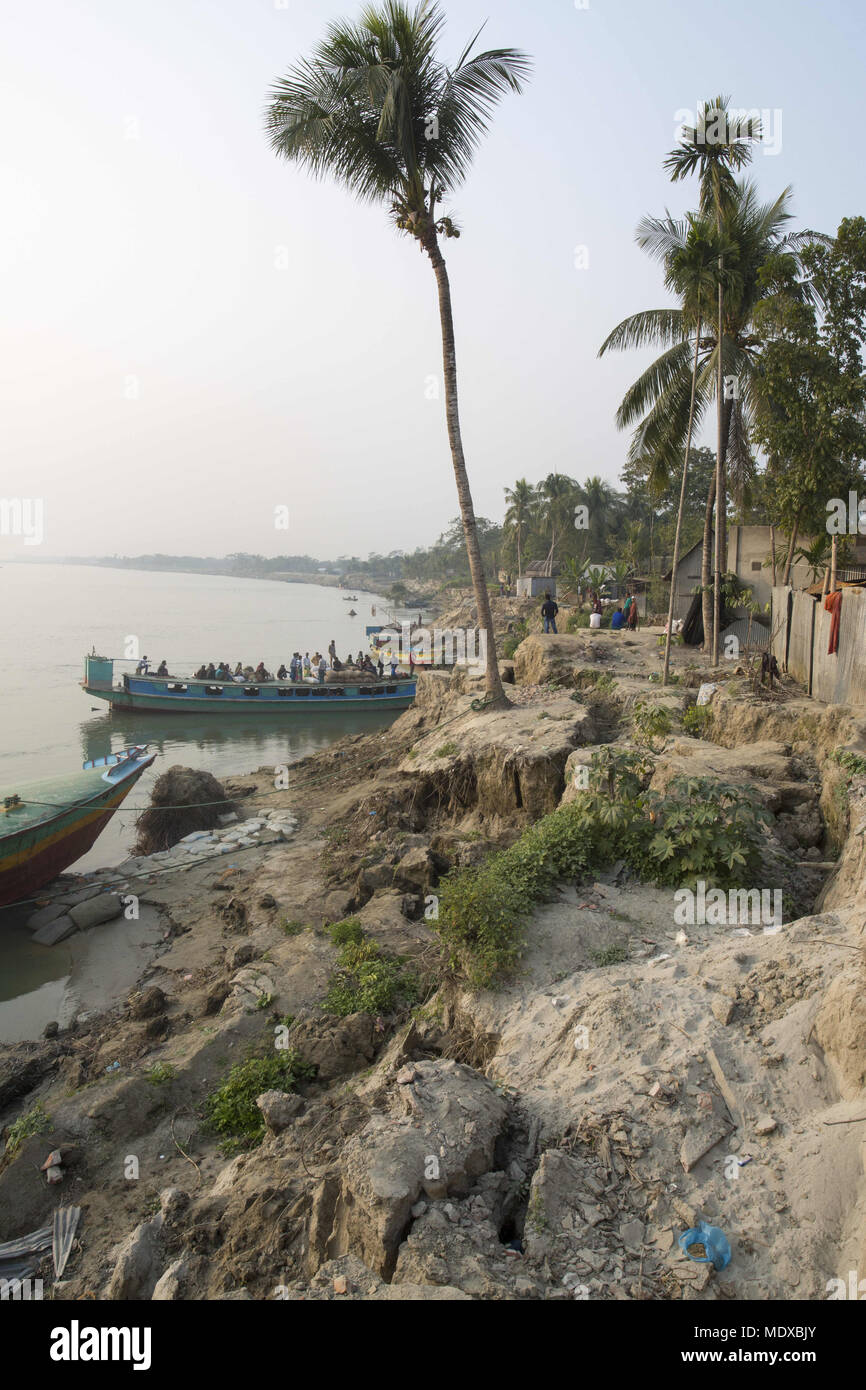 Munshigonj, Bangladesch. 24 Jan, 2017. MUNSHIGONJ, BANGLADESCH - Januar 24: Menschen verlieren ihre Häuser Ursachen von Padma Fluss Erosion in Munshigonj in der Nähe von Dhaka, Bangladesch am 24. Januar 2016. Die Erosion ist endemisch in Bangladesch mit Millionen als Ackerland, betroffen, und Dörfer sind zerstört. A 2013 Studie der Flüchtlings- und Migrationsbewegungen Forschergruppe an der Universität Dhaka und der britischen Sussex Zentrum für Migrationsforschung geschätzt, dass riverbank Erosion 50.000 bis 200.000 Menschen in Bangladesch jedes Jahr verdrängt. Bangladesch ist eines der am dichtesten bevölkerten Länder in der Stockfoto