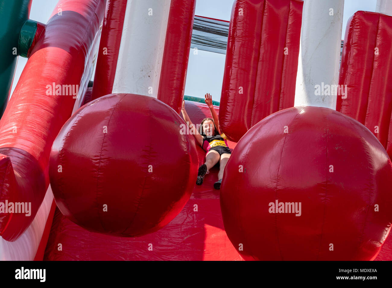 Essex, UK. 21. April 2018. Frühling Spaß in der Sonne, der gung-ho 5k Parcours Event mit mehreren tausend Teilnehmern, die 5 Kilometer Fun Run über riesigen aufblasbaren Hindernisse mit finale Abdeckung ist Europas größte aufblasbare Rutsche fand die erste Veranstaltung des Jahres an Weald Country Park, Brentwood, Essex, UK. Credit: Ian Davidson/Alamy leben Nachrichten Stockfoto