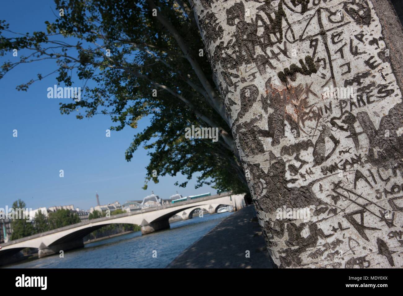 Pariser Arrondissement, Rue Francois Mitterrand (Quai des Tuileries) Seine Ufer, Baum mit Liebe Nachrichten geschnitzt Stockfoto