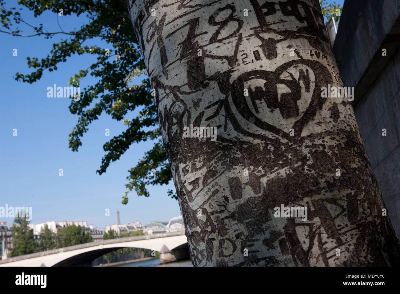 Pariser Arrondissement, Rue Francois Mitterrand (Quai des Tuileries) Seine Ufer, Baum mit Liebe Nachrichten geschnitzt Stockfoto