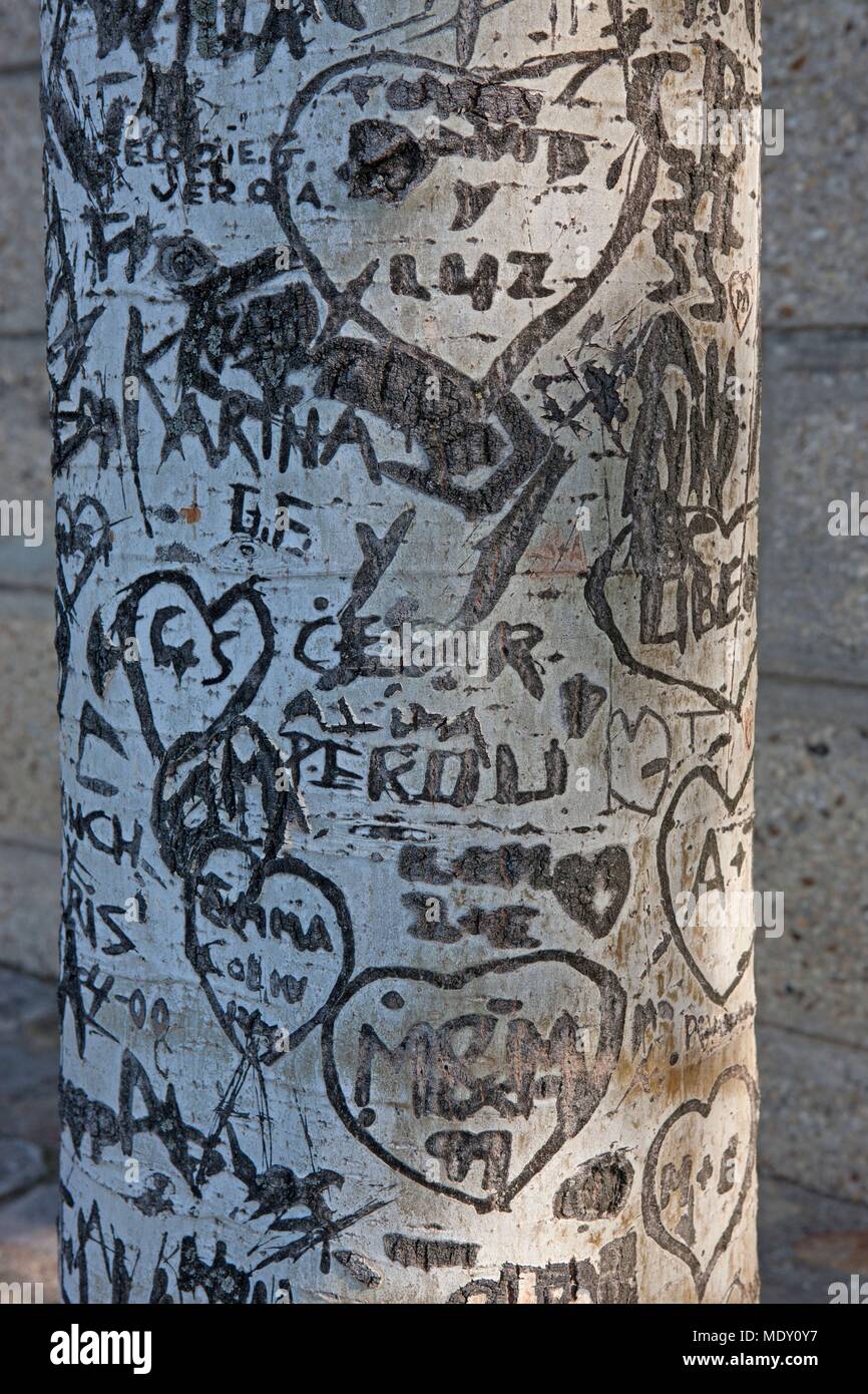 Pariser Arrondissement, Rue Francois Mitterrand (Quai des Tuileries) Seine Ufer, Baum mit Liebe Nachrichten geschnitzt Stockfoto