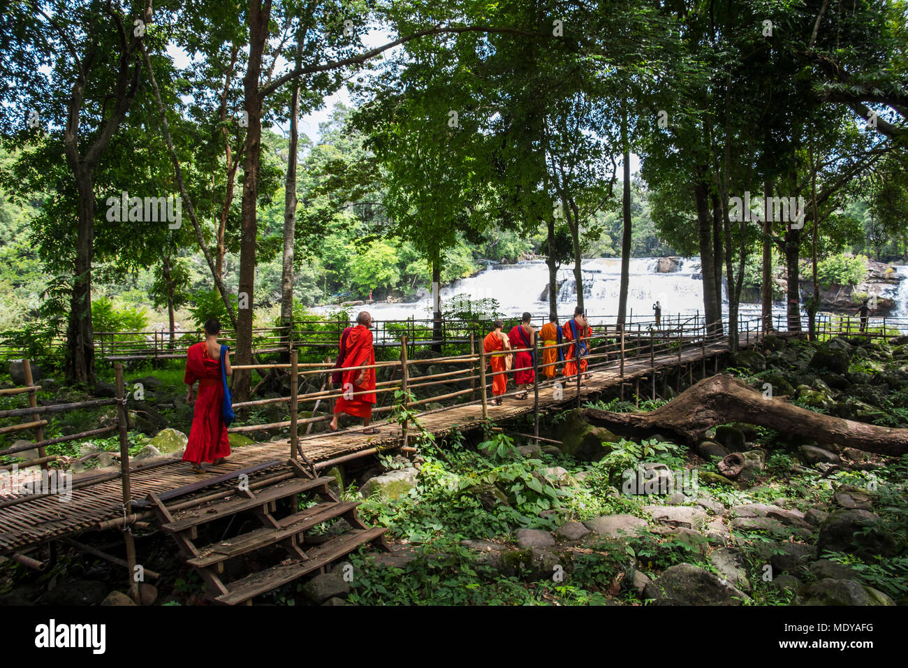 Buddhistische Mönche durch die Tad Hängen, Wasserfall, Tad Lo, Bolaven Plateau; Champasak, Laos Stockfoto