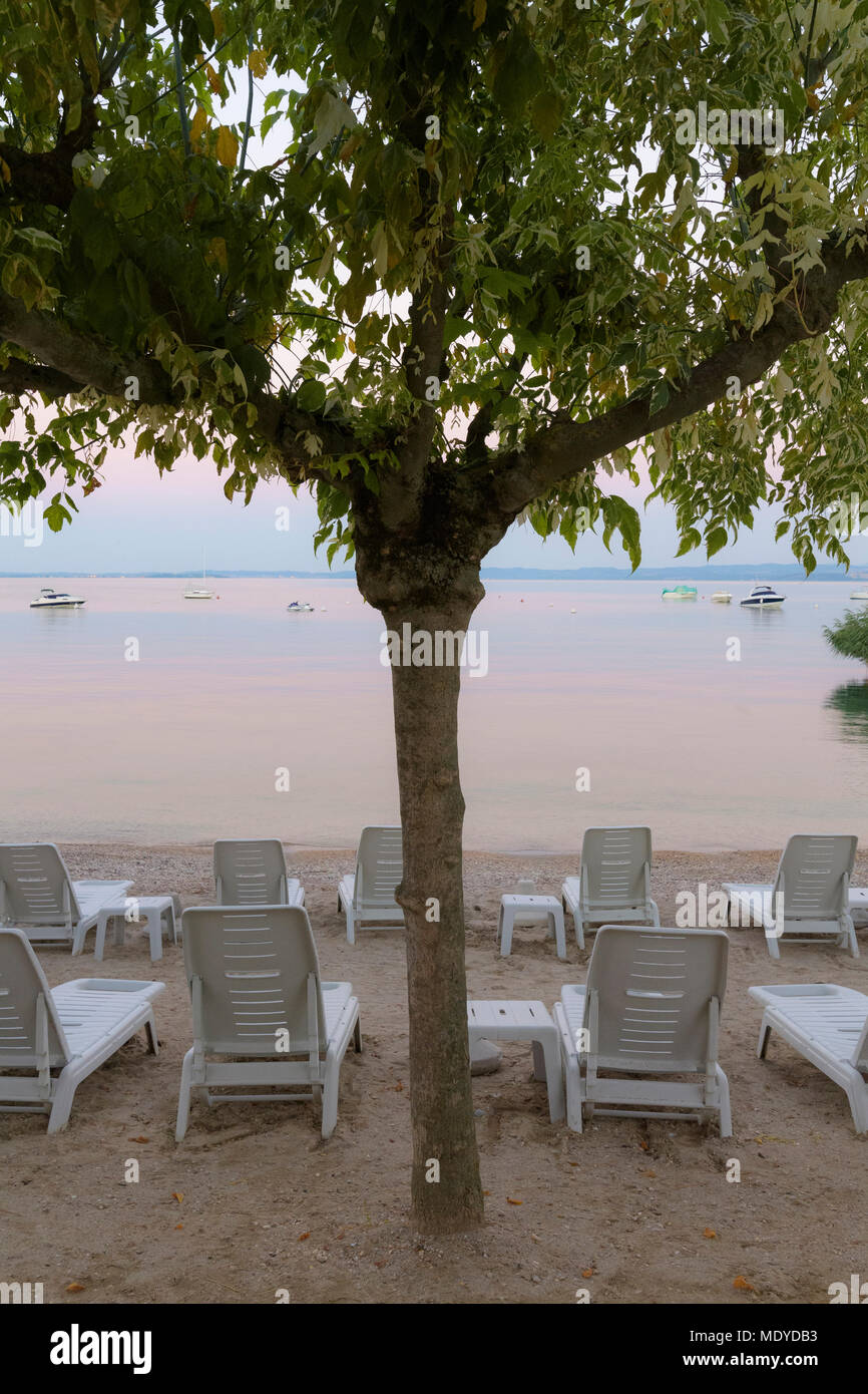 Baum und Reihen von Liegestühlen am Strand am Gardasee (Lago di Garda) im Morgengrauen in Bardolino, in Venetien, Italien Stockfoto