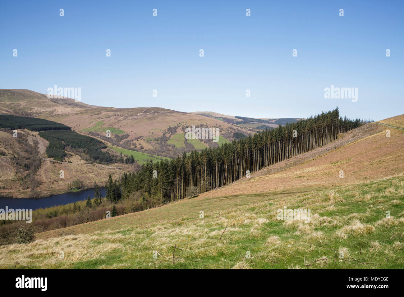 Talybont Valley in den Brecon Beacons National Park Stockfoto