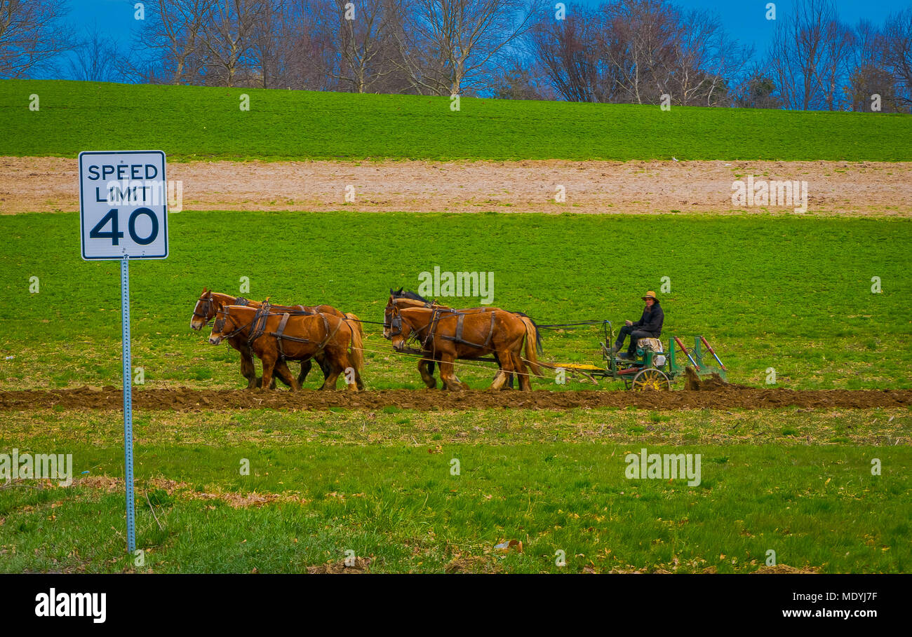LANCASTER, USA - April, 18, 2018: Die AMISCHEN Farmer mit Pferden zu den antiken im Feld pflügen, produzieren sie ihre eigene Nahrung, nicht die Technologie Stockfoto