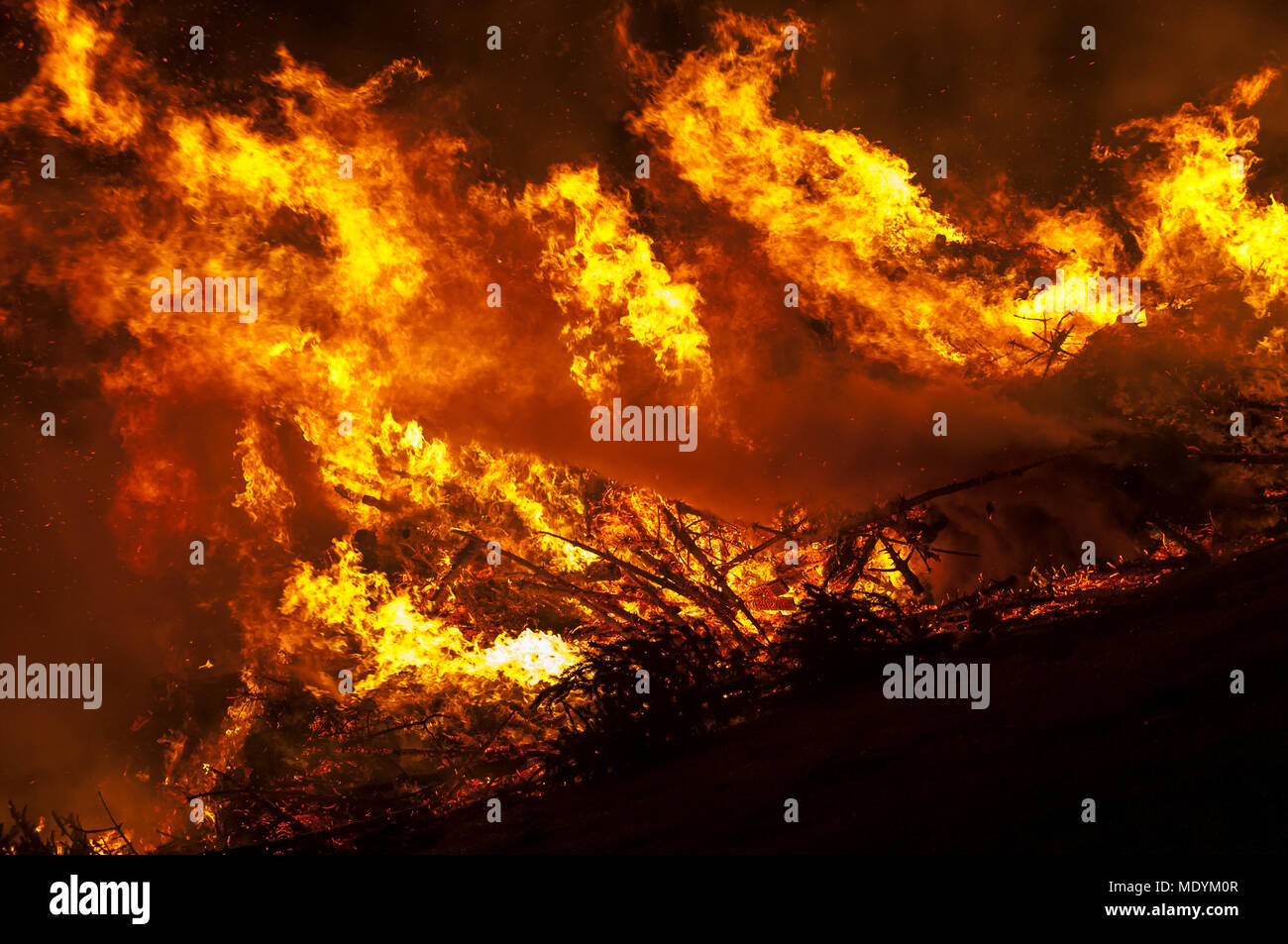 Weihnachtsbäume verbrennen im Freien Stockfoto