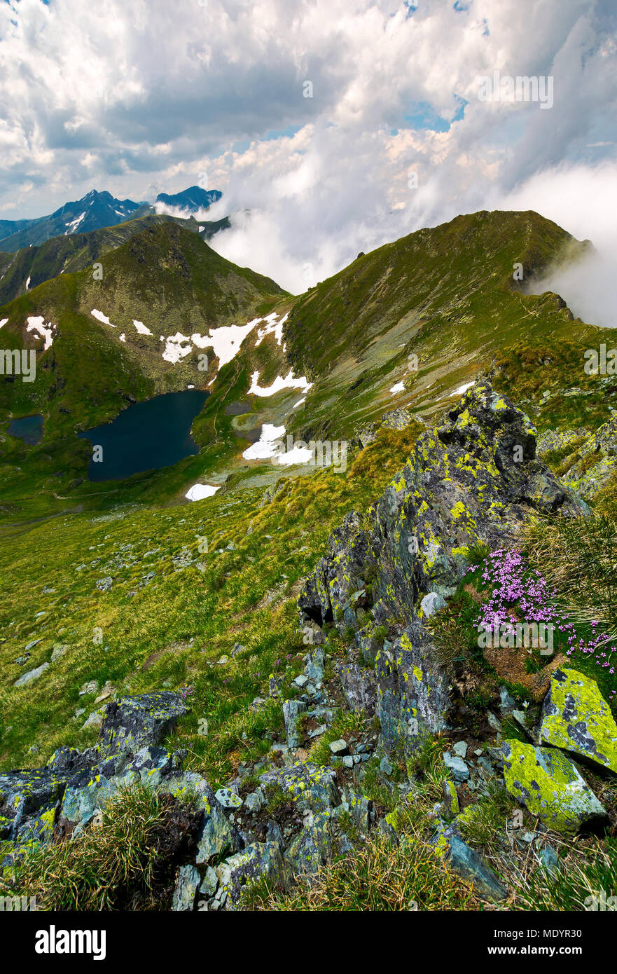 Saua Fagarasan Caprei Gipfel der Berge. wunderschöne Sommer Landschaft des südlichen Karpaten in Rumänien Stockfoto
