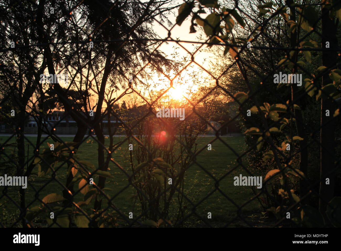 Sonnenuntergang am Sportplatz. Stockfoto