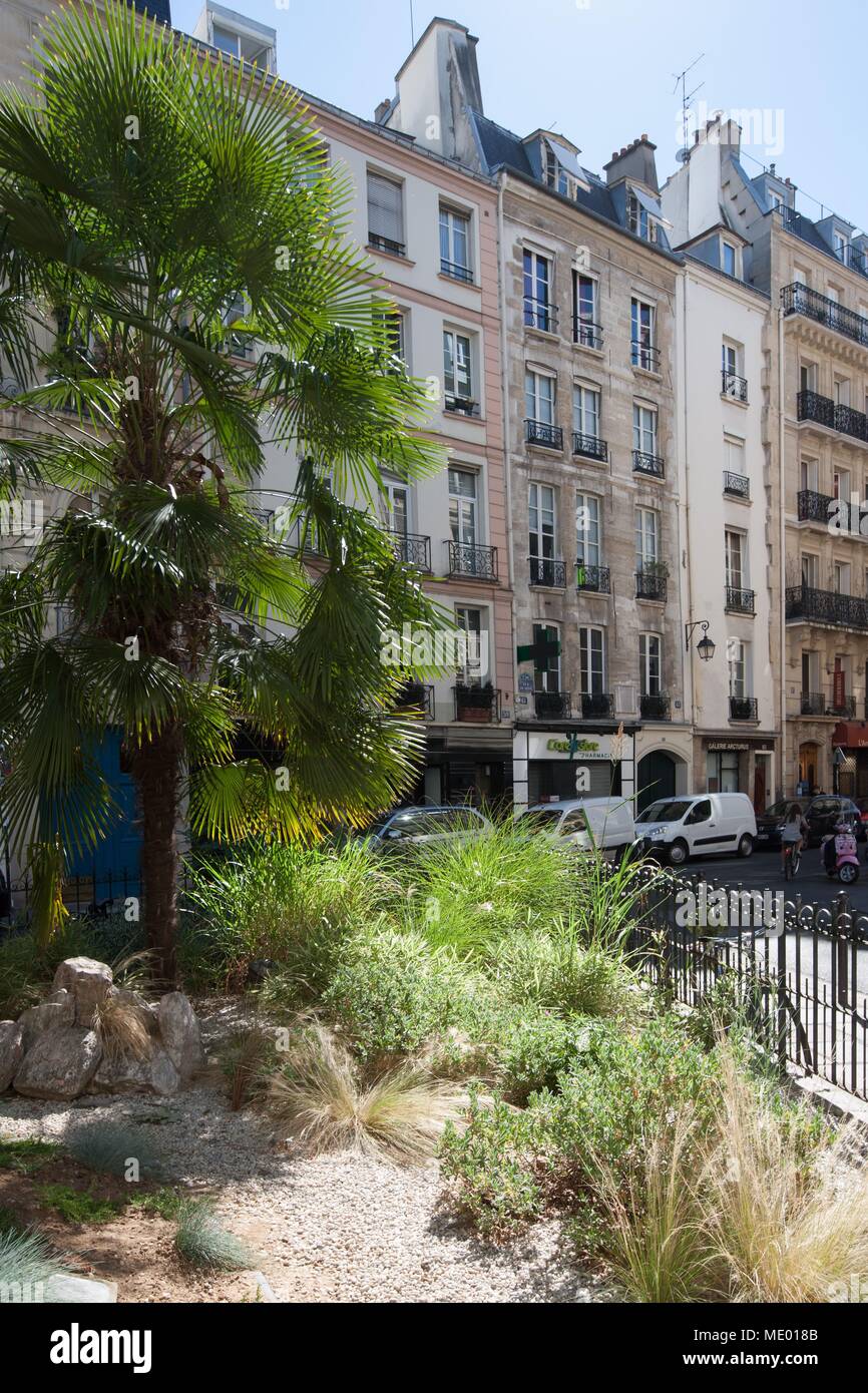 Paris, 6. Arrondissement, rue de Seine, Winkel mit der Rue Jacob, Immobilien, Innenhof, Stockfoto