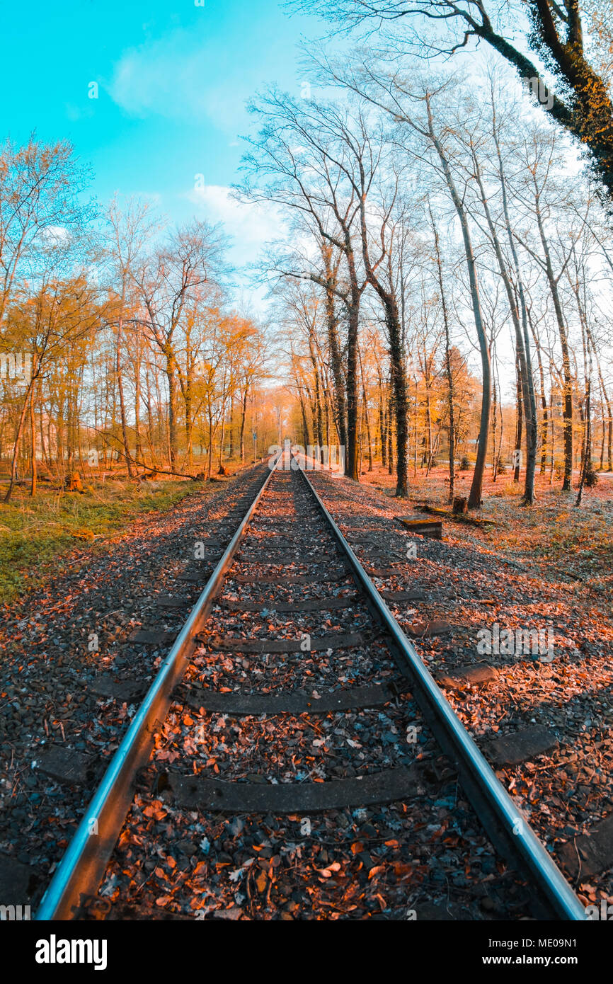 Rail Track durch Wald in Deutschland, Köln, Köln Lindenthal Stockfoto