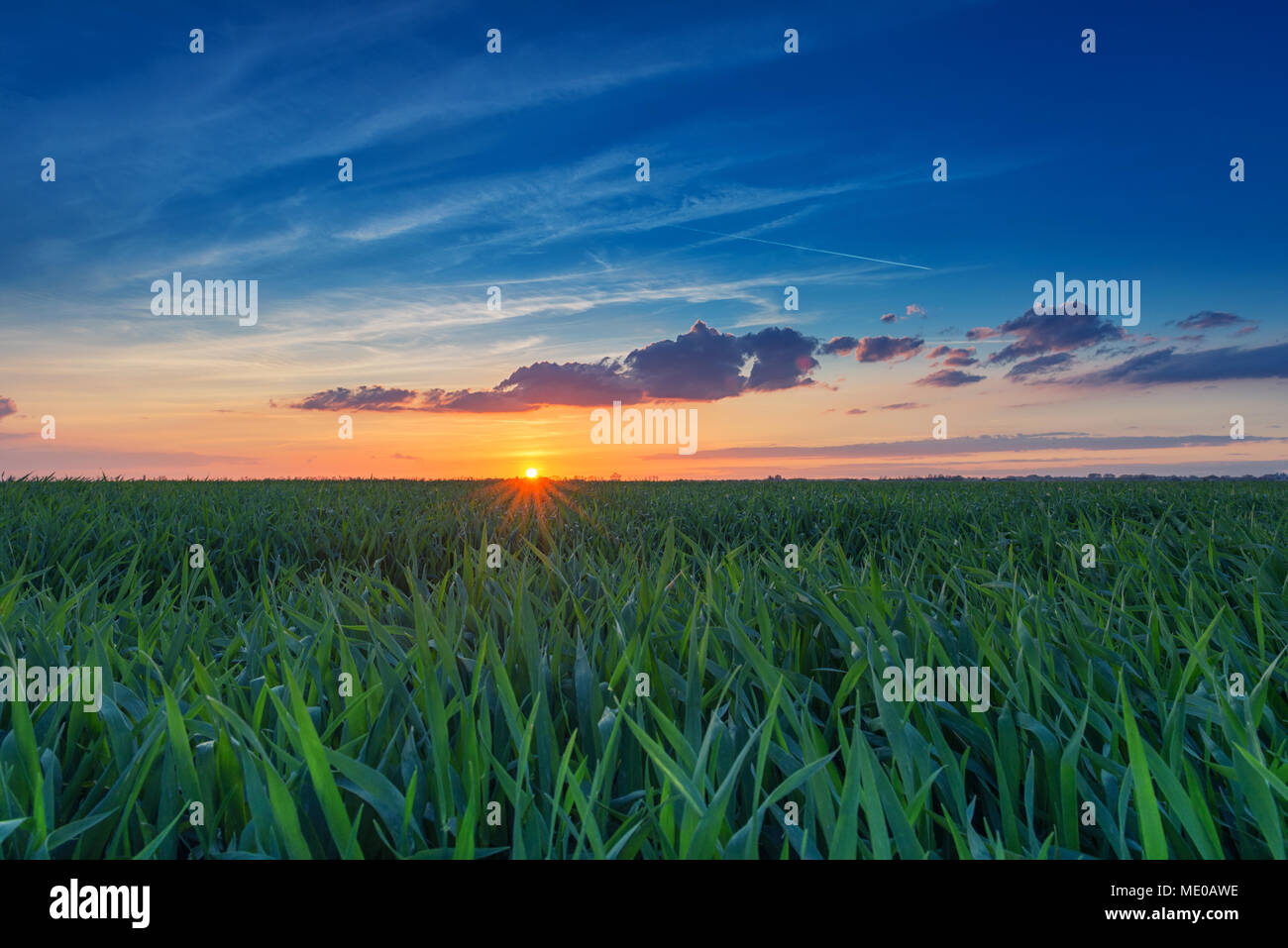 Feder bewölkter Himmel Sonnenuntergang über das Feld Struktur Stockfoto