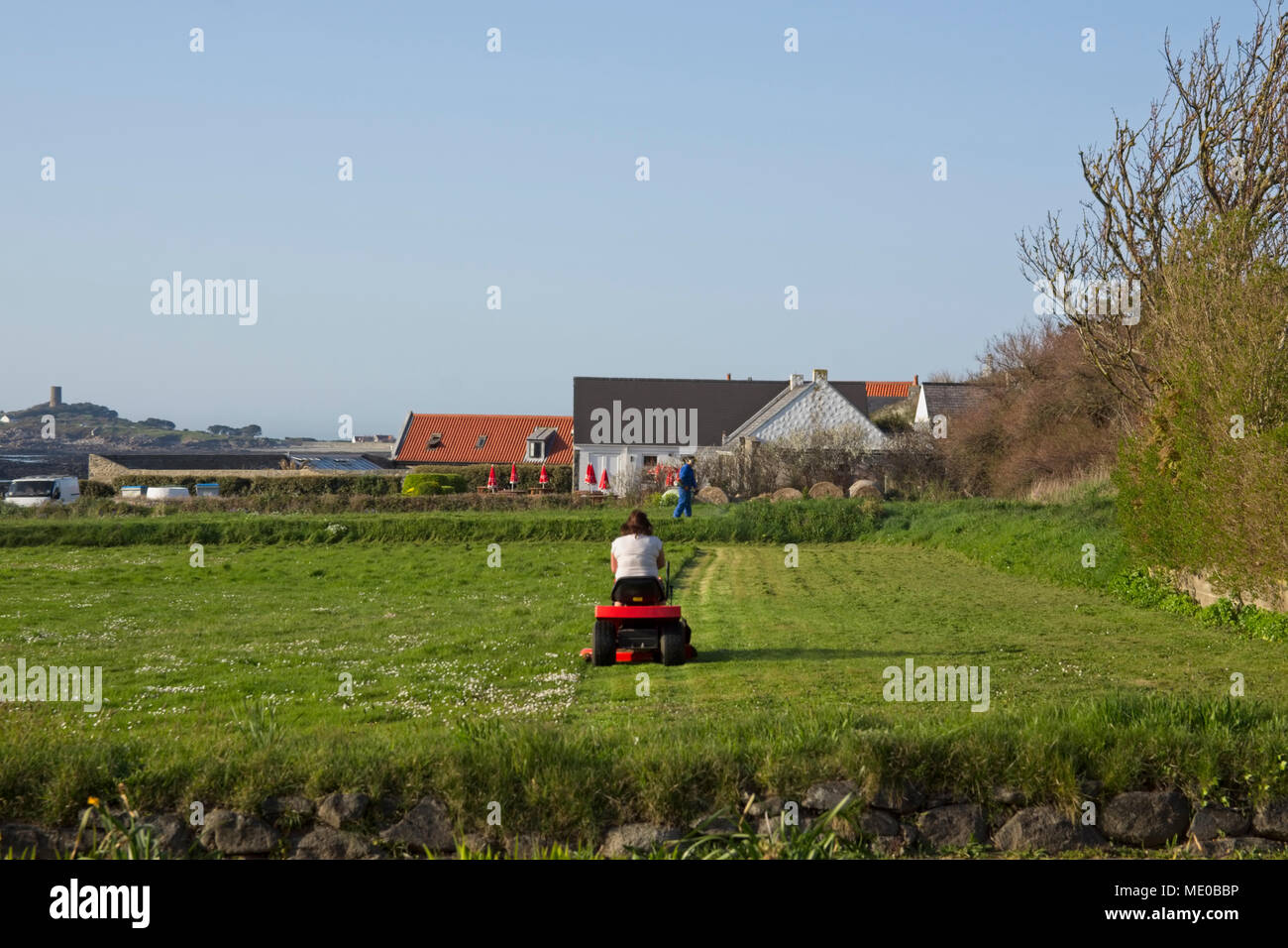 Frau auf motorisierten Rasenmäher Schneiden von Gras auf großem Grundstück. Stockfoto