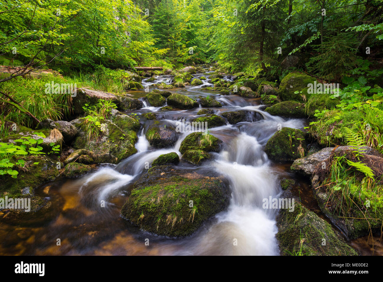 Mountain Stream nach dem Regen auf der Kleinen Ohe bei Waldhauser im Nationalpark Bayerischer Wald in Bayern, Deutschland Stockfoto