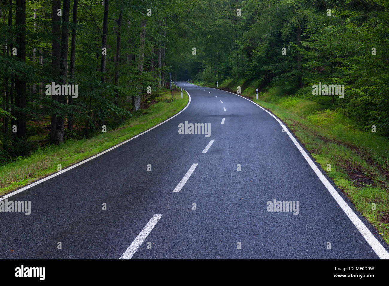 Gepflasterte Straße durch den Wald nach regen in Spiegelau im Nationalpark Bayerischer Wald in Bayern, Deutschland Stockfoto