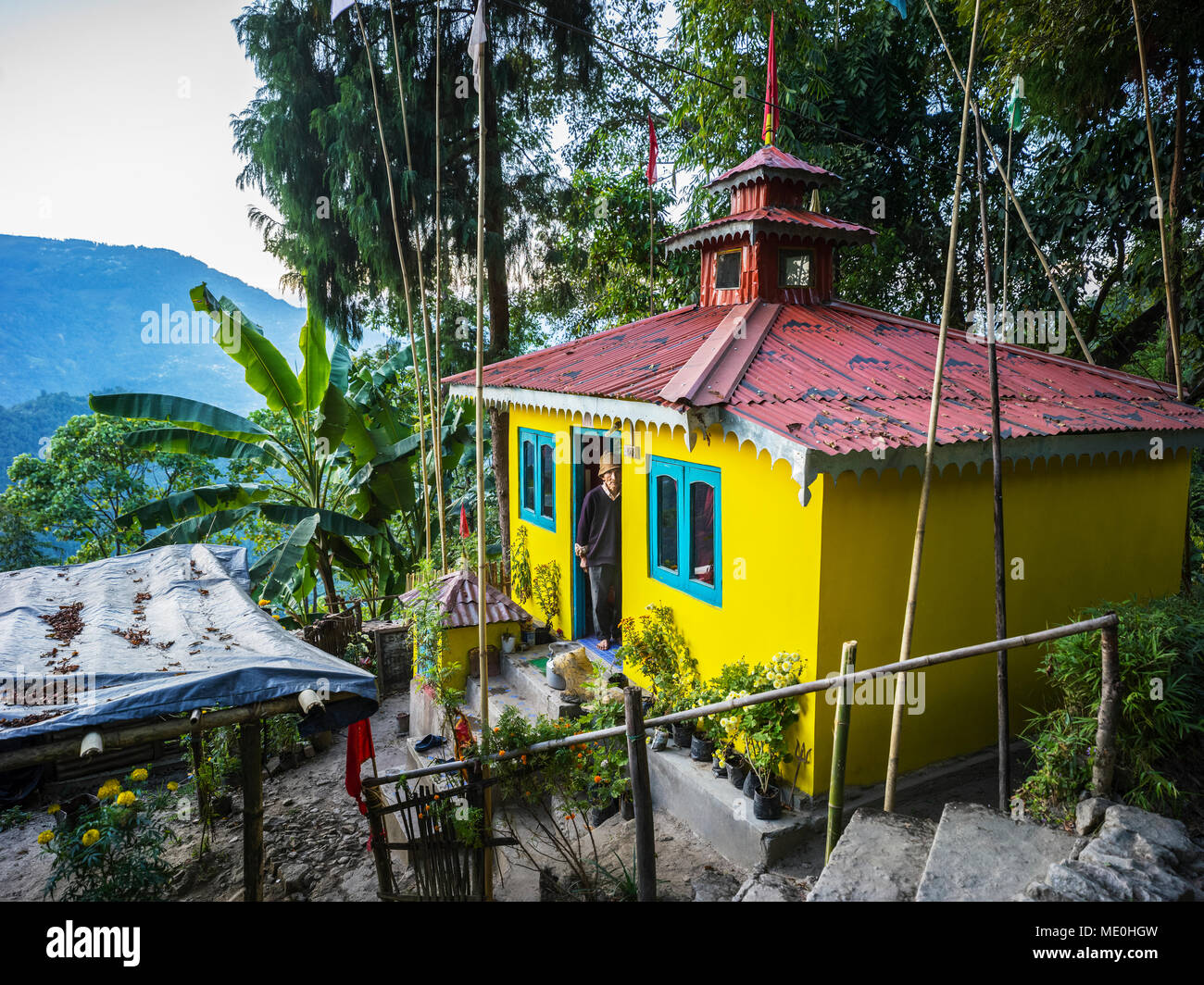 Ein helles gelbes Gebäude auf der Glenburn Tea Estate; Singringtam, West Bengal, Indien Stockfoto