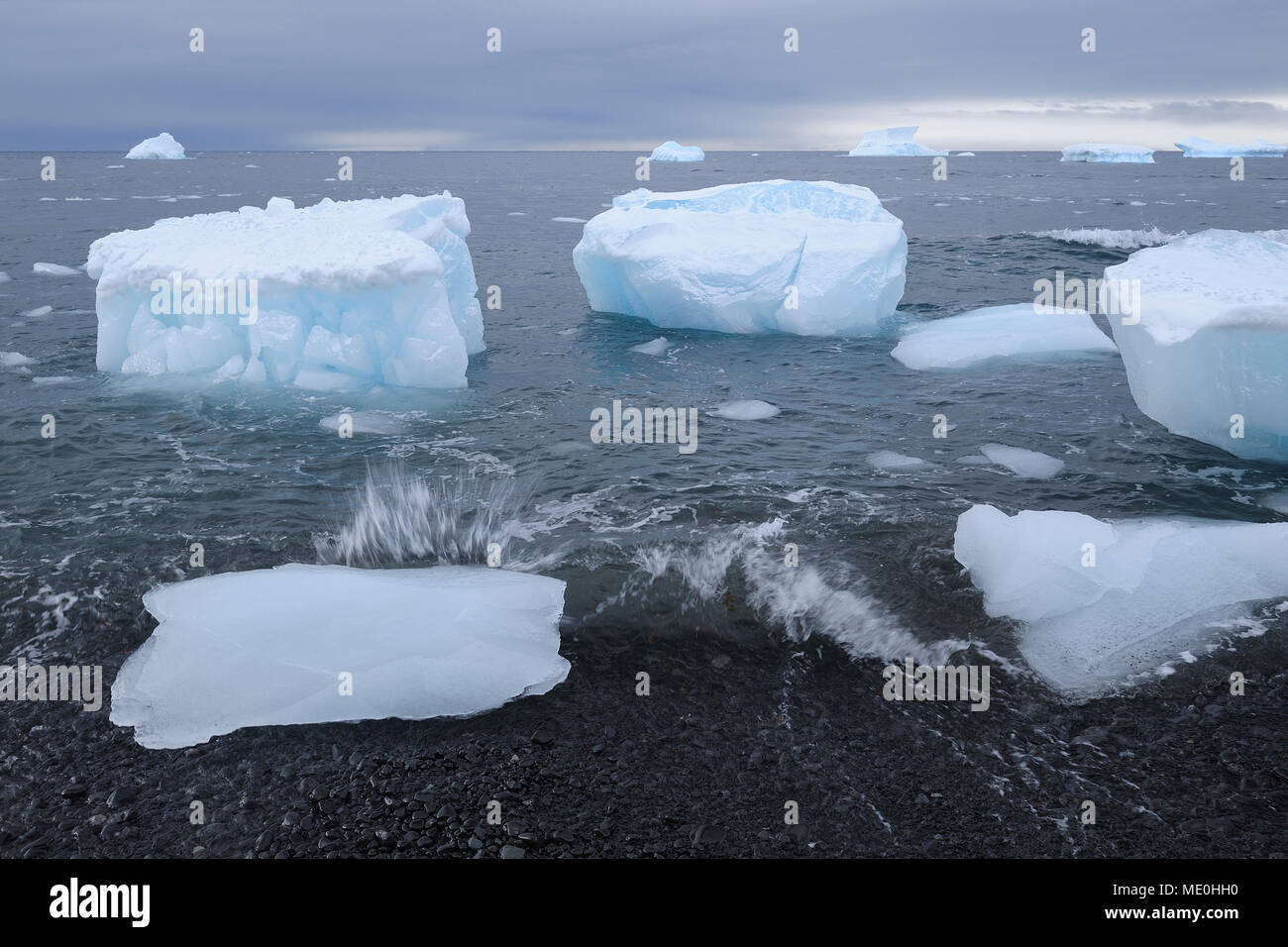 Eisberge mit großen Stücken von Eis bis auf einem vulkanischen Strand in Brown Bluff an der Antarktischen Halbinsel, Antarktis gewaschen Stockfoto