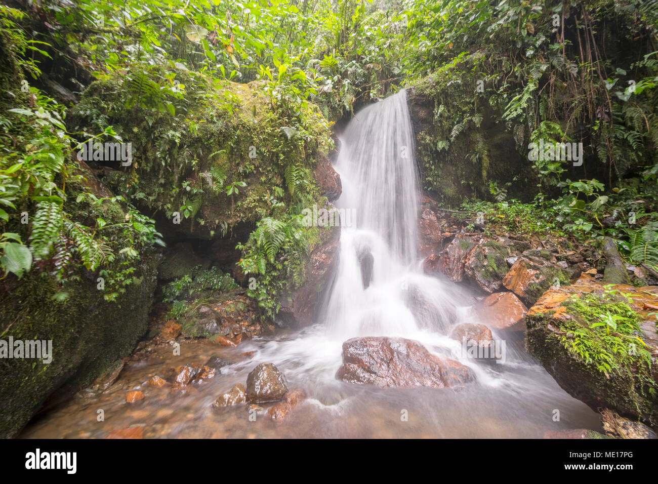 Wasserfall auf einem unberührten Waldbach. Im feuchten tropischen Regenwald an den Amazonas-Hängen der Anden, Provinz Morona Santiago in Ecuador Stockfoto