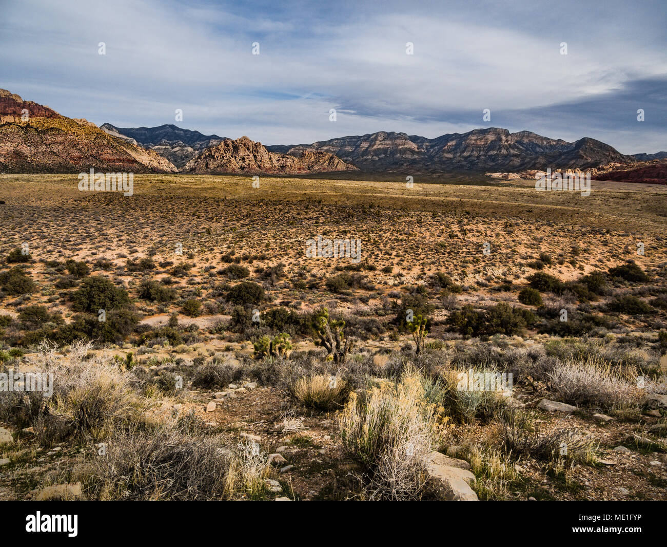 Der Red Rock Canyon National Conservation Area, Nevada Stockfoto